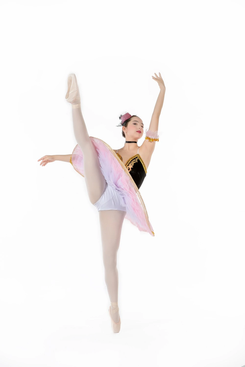 Elegance Ballet Studio Dancer